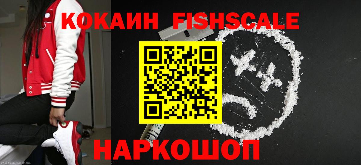 Кокаин Fish Scale Камышлов