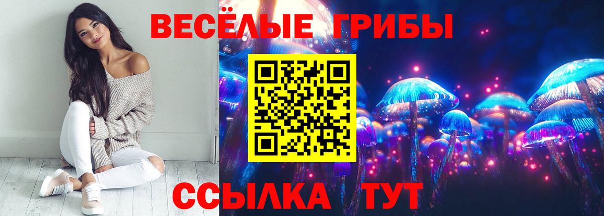 Камышлов  Псилоцибиновые грибы GOLDEN TEACHER  Вход с VPN 